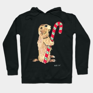 2013 Holiday ATC 1 - Prairie Dog Candy Cane Hoodie